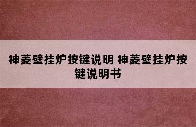 神菱壁挂炉按键说明 神菱壁挂炉按键说明书